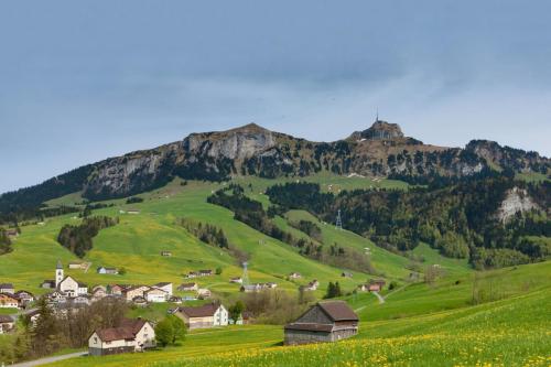 Bruelisau Dorf Fruehling